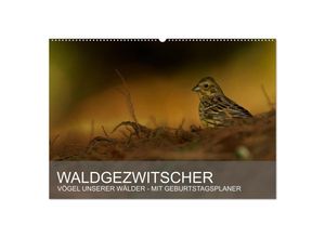 9783435687312 - Waldgezwitscher - Vögel unserer Wälder (Wandkalender 2025 DIN A2 quer) CALVENDO Monatskalender