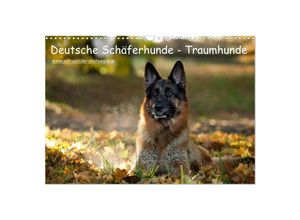 9783435687435 - Deutsche Schäferhunde - Traumhunde (Wandkalender 2025 DIN A3 quer) CALVENDO Monatskalender