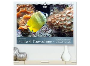 9783435687459 - Bunte Riffbewohner - Fische Anemonen und noch viel mehr (hochwertiger Premium Wandkalender 2025 DIN A2 quer) Kunstdruck in Hochglanz