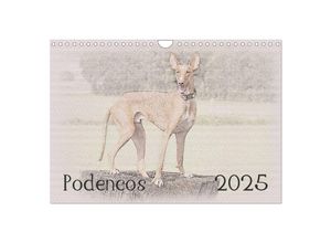 9783435687602 - Podencos 2025 (Wandkalender 2025 DIN A4 quer) CALVENDO Monatskalender