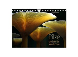9783435687633 - Pilze - die Stars der Waldbühne (Wandkalender 2025 DIN A4 quer) CALVENDO Monatskalender