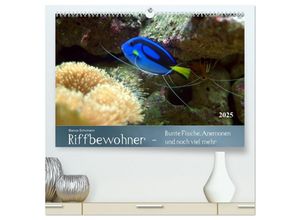 9783435687701 - Riffbewohner - Bunte Fische Anemonen und noch viel mehr (hochwertiger Premium Wandkalender 2025 DIN A2 quer) Kunstdruck in Hochglanz