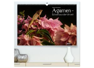 9783435687718 - Agamen - Echsen aus der Urzeit (hochwertiger Premium Wandkalender 2025 DIN A2 quer) Kunstdruck in Hochglanz