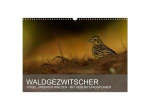 9783435687879 - Waldgezwitscher - Vögel unserer Wälder (Wandkalender 2025 DIN A3 quer) CALVENDO Monatskalender