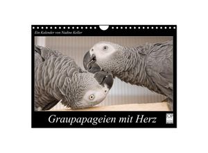 9783435687886 - Graupapageien mit Herz (Wandkalender 2025 DIN A4 quer) CALVENDO Monatskalender