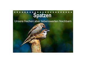 9783435687923 - Spatzen unsere frechen aber liebenswerte Nachbarn (Tischkalender 2025 DIN A5 quer) CALVENDO Monatskalender