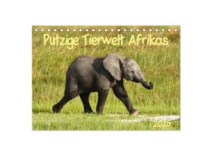 9783435688289 - Putzige Tierwelt Afrikas (Tischkalender 2025 DIN A5 quer) CALVENDO Monatskalender