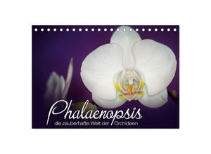 9783435688425 - Phalaenopsis - die zauberhafte Welt der Orchideen (Tischkalender 2025 DIN A5 quer) CALVENDO Monatskalender