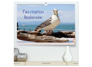 9783435688548 - Faszination Bodensee (hochwertiger Premium Wandkalender 2025 DIN A2 quer) Kunstdruck in Hochglanz