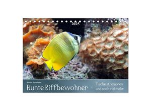 9783435689460 - Bunte Riffbewohner - Fische Anemonen und noch viel mehr (Tischkalender 2025 DIN A5 quer) CALVENDO Monatskalender