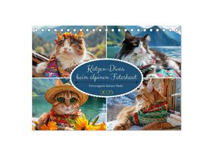 9783435689583 - Katzen-Divas beim alpinen Fotoshoot Extravagante Katzenmode (Tischkalender 2025 DIN A5 quer) CALVENDO Monatskalender