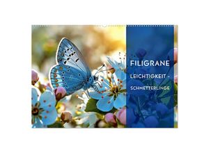 9783435689675 - Filigrane Leichtigkeit - Schmetterlinge (Wandkalender 2025 DIN A2 quer) CALVENDO Monatskalender