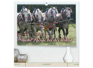 9783435689958 - Starke Pferde bei der Arbeit (hochwertiger Premium Wandkalender 2025 DIN A2 quer) Kunstdruck in Hochglanz