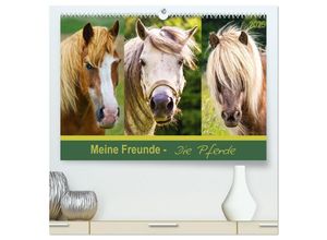 9783435690008 - Meine Freunde - die Pferde (hochwertiger Premium Wandkalender 2025 DIN A2 quer) Kunstdruck in Hochglanz