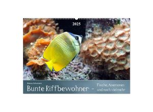 9783435690145 - Bunte Riffbewohner - Fische Anemonen und noch viel mehr (Wandkalender 2025 DIN A2 quer) CALVENDO Monatskalender