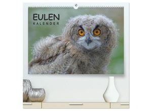 9783435690244 - Eulen-Kalender (hochwertiger Premium Wandkalender 2025 DIN A2 quer) Kunstdruck in Hochglanz