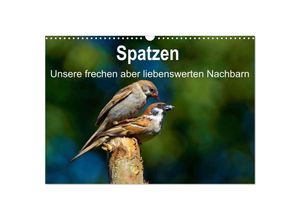 9783435690275 - Spatzen unsere frechen aber liebenswerte Nachbarn (Wandkalender 2025 DIN A3 quer) CALVENDO Monatskalender