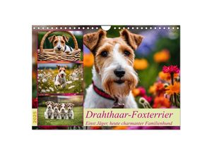 9783435690367 - Drahthaar-Foxterrier (Wandkalender 2025 DIN A4 quer) CALVENDO Monatskalender