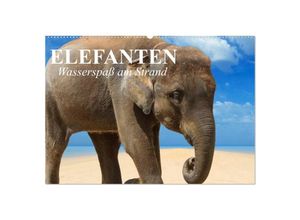 9783435690572 - Elefanten - Wasserspaß am Strand (Wandkalender 2025 DIN A2 quer) CALVENDO Monatskalender