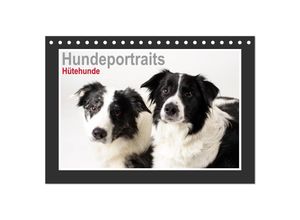 9783435690879 - Hundeportraits - Hütehunde (Tischkalender 2025 DIN A5 quer) CALVENDO Monatskalender