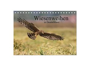 9783435691050 - Wiesenweihen in Deutschland (Tischkalender 2025 DIN A5 quer) CALVENDO Monatskalender