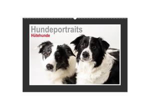 9783435691364 - Hundeportraits - Hütehunde (Wandkalender 2025 DIN A2 quer) CALVENDO Monatskalender