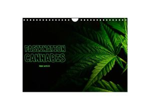 9783435691463 - Faszination Cannabis (Wandkalender 2025 DIN A4 quer) CALVENDO Monatskalender