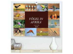 9783435691630 - Vögel in Afrika - Magie der Farben (hochwertiger Premium Wandkalender 2025 DIN A2 quer) Kunstdruck in Hochglanz