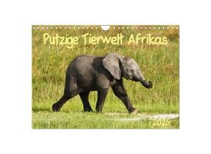 9783435691661 - Putzige Tierwelt Afrikas (Wandkalender 2025 DIN A4 quer) CALVENDO Monatskalender