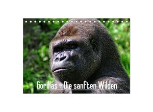 9783435691920 - Gorillas - Die sanften Wilden (Tischkalender 2025 DIN A5 quer) CALVENDO Monatskalender