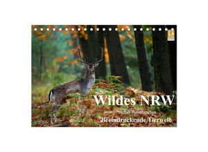 9783435691982 - Wildes NRW - Beeindruckende Tierwelt (Tischkalender 2025 DIN A5 quer) CALVENDO Monatskalender