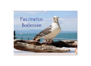 9783435692002 - Faszination Bodensee (Wandkalender 2025 DIN A2 quer) CALVENDO Monatskalender