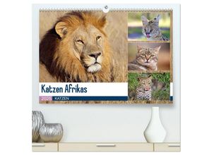 9783435692569 - Katzen Afrikas (hochwertiger Premium Wandkalender 2025 DIN A2 quer) Kunstdruck in Hochglanz