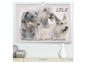 9783435692644 - Französische Hirtenhunde 2025 (hochwertiger Premium Wandkalender 2025 DIN A2 quer) Kunstdruck in Hochglanz