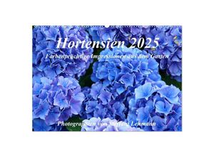 9783435692767 - Hortensien 2025 Farbenprächtige Impressionen aus dem Garten (Wandkalender 2025 DIN A2 quer) CALVENDO Monatskalender