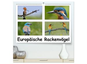 9783435692989 - Europäische Rackenvögel (hochwertiger Premium Wandkalender 2025 DIN A2 quer) Kunstdruck in Hochglanz