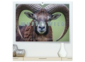 9783435693399 - Emotionale Momente Muffelwild (hochwertiger Premium Wandkalender 2025 DIN A2 quer) Kunstdruck in Hochglanz