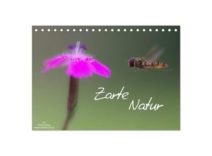 9783435693429 - Zarte Natur 2025 (Tischkalender 2025 DIN A5 quer) CALVENDO Monatskalender