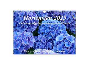 9783435693504 - Hortensien 2025 Farbenprächtige Impressionen aus dem Garten (Wandkalender 2025 DIN A4 quer) CALVENDO Monatskalender