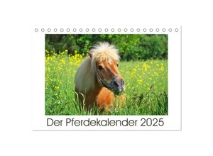 9783435693528 - Der Pferdekalender (Tischkalender 2025 DIN A5 quer) CALVENDO Monatskalender