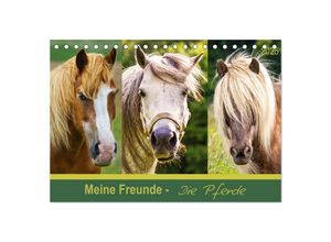 9783435693535 - Meine Freunde - die Pferde (Tischkalender 2025 DIN A5 quer) CALVENDO Monatskalender