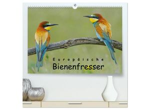 9783435693580 - Europäische Bienenfresser (hochwertiger Premium Wandkalender 2025 DIN A2 quer) Kunstdruck in Hochglanz