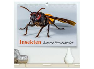 9783435693894 - Insekten - Bizarre Naturwunder (hochwertiger Premium Wandkalender 2025 DIN A2 quer) Kunstdruck in Hochglanz