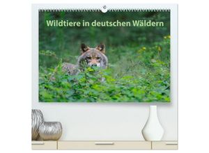 9783435693962 - Wildtiere in deutschen Wäldern (hochwertiger Premium Wandkalender 2025 DIN A2 quer) Kunstdruck in Hochglanz