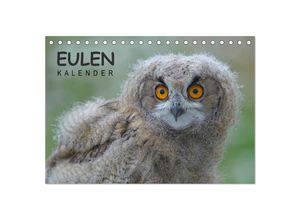 9783435694037 - Eulen-Kalender (Tischkalender 2025 DIN A5 quer) CALVENDO Monatskalender