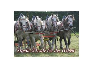 9783435694082 - Starke Pferde bei der Arbeit (Wandkalender 2025 DIN A2 quer) CALVENDO Monatskalender