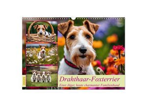 9783435694105 - Drahthaar-Foxterrier (Wandkalender 2025 DIN A3 quer) CALVENDO Monatskalender