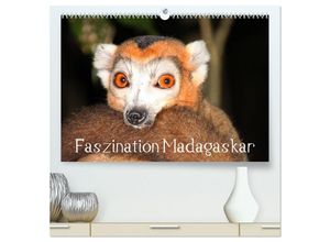 9783435694136 - Faszination Madagaskar (hochwertiger Premium Wandkalender 2025 DIN A2 quer) Kunstdruck in Hochglanz