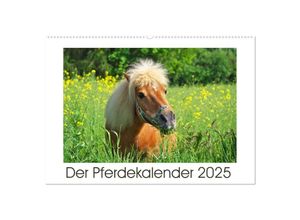 9783435694150 - Der Pferdekalender (Wandkalender 2025 DIN A2 quer) CALVENDO Monatskalender