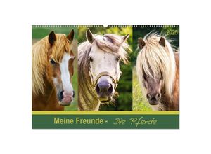 9783435694167 - Meine Freunde - die Pferde (Wandkalender 2025 DIN A2 quer) CALVENDO Monatskalender